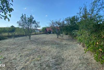 Casă cu 2 camere cu Teren 676 Mp în Sâmbăta - 1