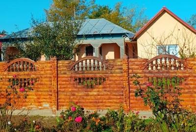 Casã de Vânzare - Bordei -Verde - 3