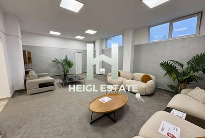 Spațiu comercial, de 470 mp, în Șagului - 7