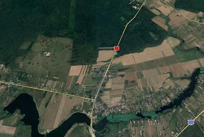 Teren de 100000 mp, în Snagov - 1
