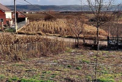 Teren de 750 mp, în Cuzdrioara