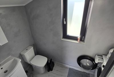 Casă cu 3 camere în Lilieci