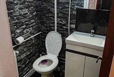 Apartament cu 3 camere decomandat în Tineretului - 5