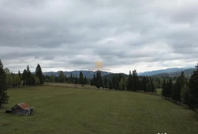 Teren de 16813 mp, în Fundu Moldovei - 17