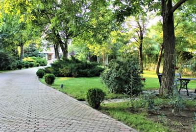 Teren de 800 mp, în Central - 8