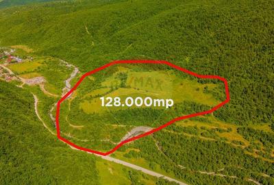 Teren 128.000 mp-Sacele-zona Garcini/ Intravilan - 5