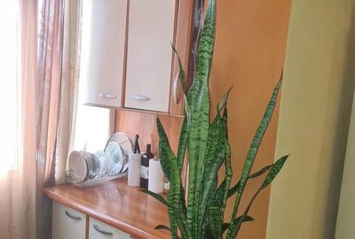 Apartament cu 2 camere decomandat în Est - 5