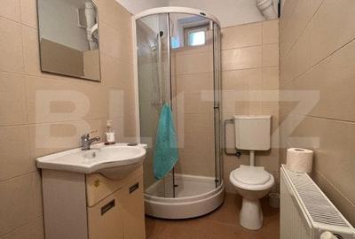 Casa P+1, 145 mp, teren 533 mp, zona Rond-Brazda - 19