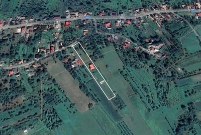 FILM! Domeniu de 5.000mp +Casa, in Berchez:o bijuterie ascunsa a Maramuresului