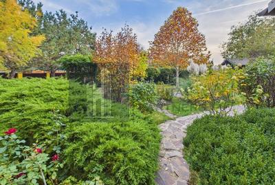 VILĂ INDIVIDUALĂ | CURTE AMENAJATĂ | PROSUMATOR 8 kW - 7