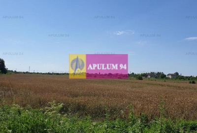 Teren construcție casă - 1 Decembrie - Zona Metropolitană București Teren construcție casă - 1 Decembrie - Zona Metropolitană București - 34