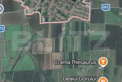 Spațiu comercial, în Silagiu - 1