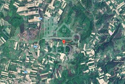 Teren 1 EURO/mp de vanzare in Tileagd-Balaia, Bihor - 3