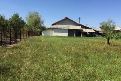 Casă cu 3 camere cu Teren 4500 Mp în Uda - 7