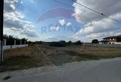 Teren intravilan 577 mp Vladimirescu - 4