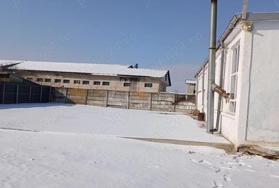 Spațiu comercial, de 471 mp, în Central - 6