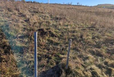 Spațiu comercial, în Turea - 2