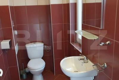 Spațiu comercial, de 110 mp, în Paltin - 2