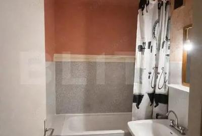 Apartament cu 2 camere semidecomandat în Iosefin - 2