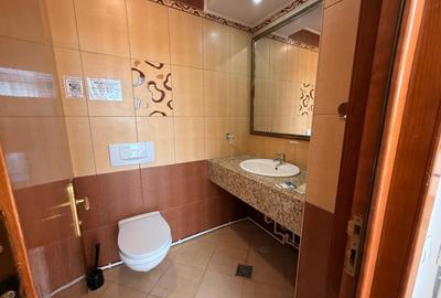 Penthouse tip Duplex cu terasa de 150 m vedere lac Tabacarie - 13