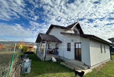 Casă individuală P+M, teren 660 mp – Vișan, Com. Bârnova, Iași 290000€ - 17