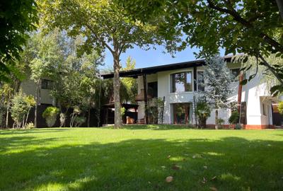 Casă individuală – Iancu Nicolae | 800 mp curte | 4 dormitoare + birou - 17