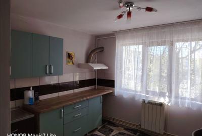 Garsonieră decomandată în Lacu - 3