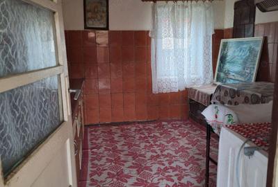 Vand casa de caramida - 6
