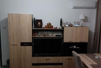 Apartament cu 2 camere semidecomandat, mobilat în Dacia - 6
