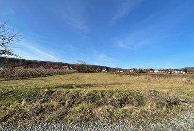 Teren de 2118 mp, în Exterior Vest - 3