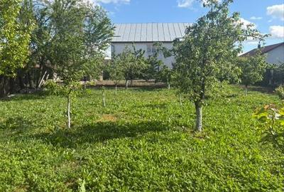 Casă cu 4 camere în Ștefan cel Mare - 7