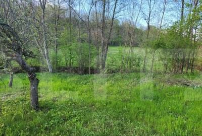 Teren 6650 mp, cu casa nefinalizata de 111 mp, in Nisipoasa - 3