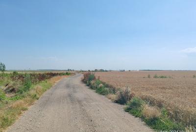 Teren de vanzare in Frumusani cu PUZ Aprobat - 3