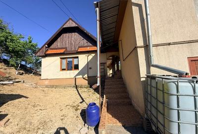 Casă individuală cu 5 camere cu Teren 2600 Mp în Boian - 4