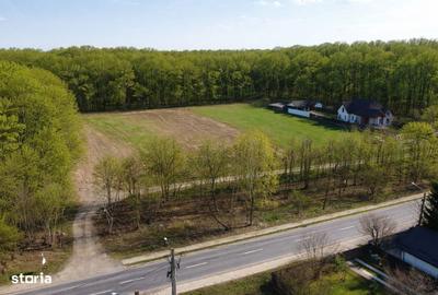 Teren de 500 mp, în Snagov - 3