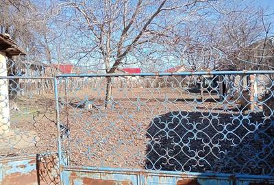 Vand casa sat Segarcea jud.Dolj - 1