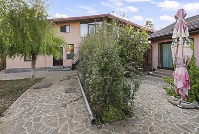 Comision 0% 2 case Vila + Spatiu Comercial + Curte Proprie - 22