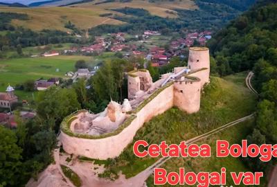 Teren de 26403 mp, în Negreni - 3