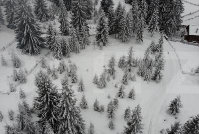 Teren 1500mp - Partia Marisel - intravilan, la 5 minute de p - 3