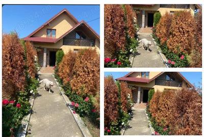 Casă cu Teren 2000 Mp în Gârleni - 2