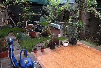 Vanzare Vila P+1+M Ctin Brancoveanu - 5