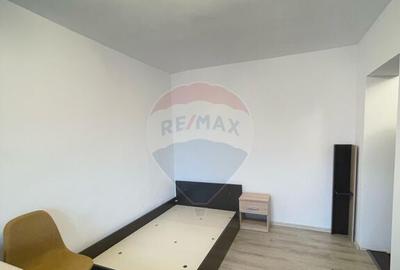 Apartament cu 1 camera de inchiriat in Micalaca - 10