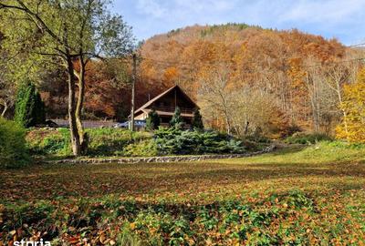 Casă cu 4 camere cu Teren 900 Mp în Bratca - 13