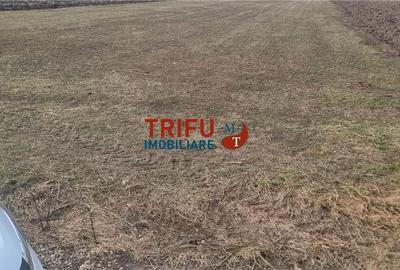 Teren de 1440 mp, în Ighiu - 1