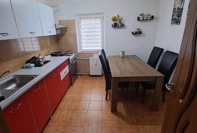 Apartament cu 2 camere semidecomandat în Craiovița Nouă - 5