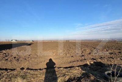 Casa la rosu, cu 3 camere, 120 mp utili, 5000 mp teren, zona - 2