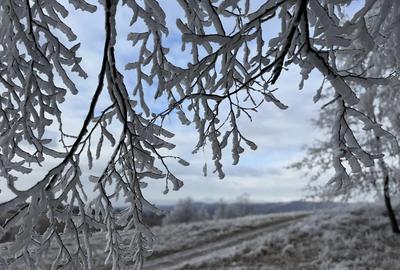 Apartament lux 2 camere de inchiriat Future Residence - 15