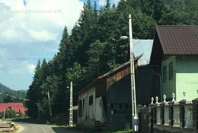 Casa P+E + atelier si anexe, Sadova, jud Suceava - 4