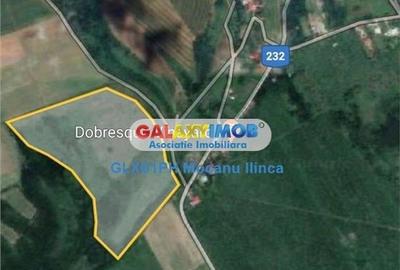 Vanzare teren 60000 mp, in Plopu, la 10 km de Ploiesti - 3