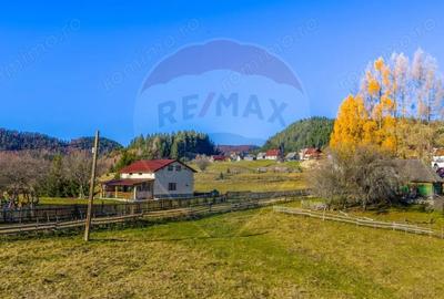 Teren de 13800 mp, în Fundățica - 3